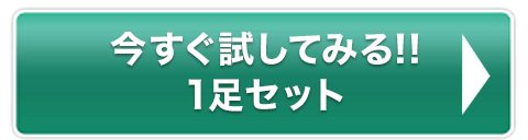 今すぐ試してみる！