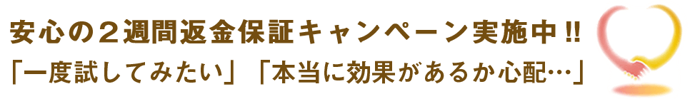 安心の返金保証キャンペーン実施中